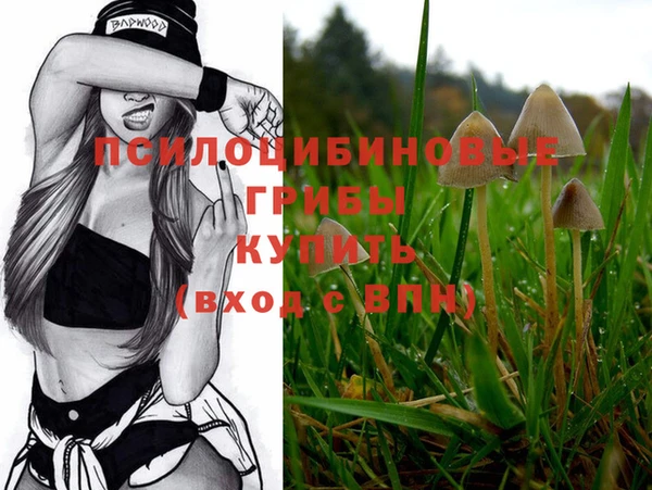 мяу мяу кристалл Богданович